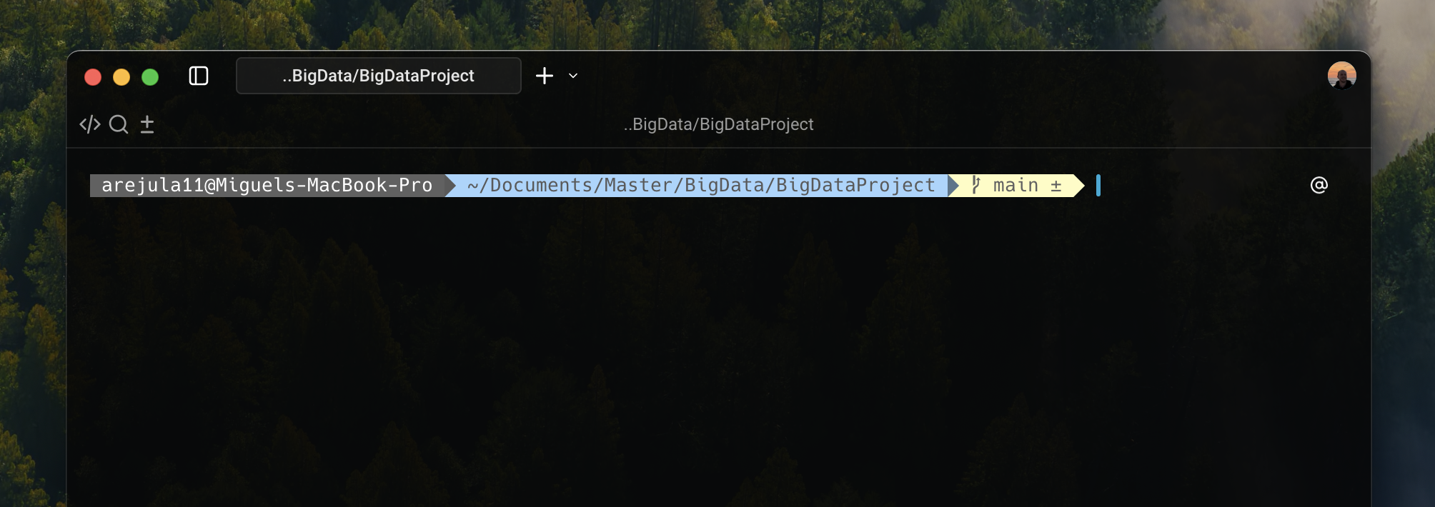 Custom Zsh prompt with Agnoster theme showing Git status